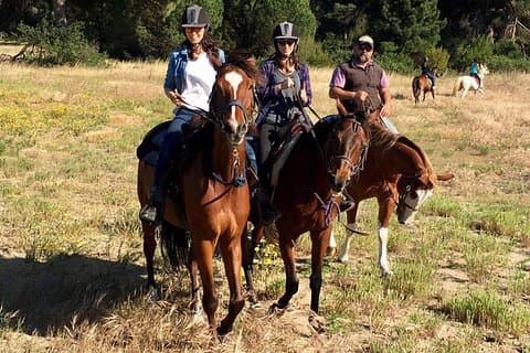 Rome : Horseback Riding with meals and wine included