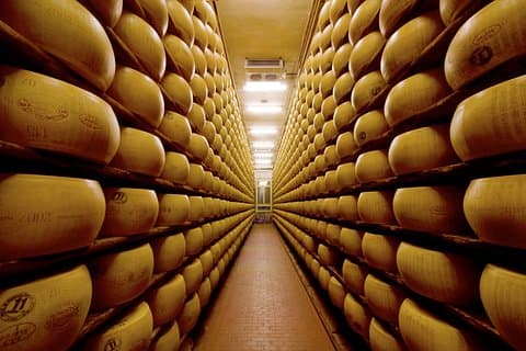 Parmigiano-Reggiano aging cellars
