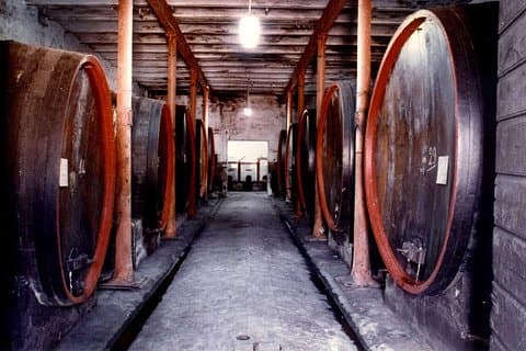 Cellar