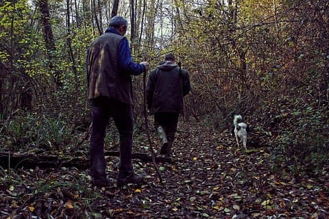 Truffle hunting