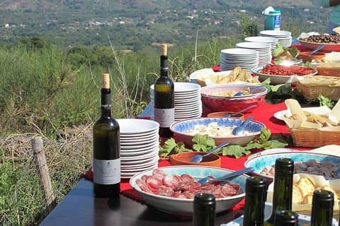 Private tour to Etna wineries