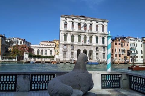 Palace Venier dei leoni