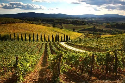 Chianti panorama