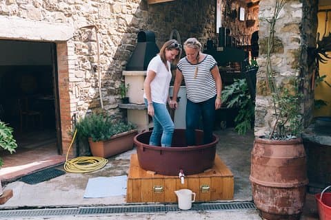 Private Grape stomping in Chianti from Siena