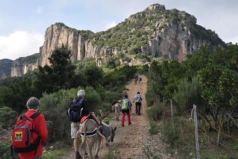 DISCOVER THE SARDINIA, THE WAYS OF TRANSHUMANCES with ANES