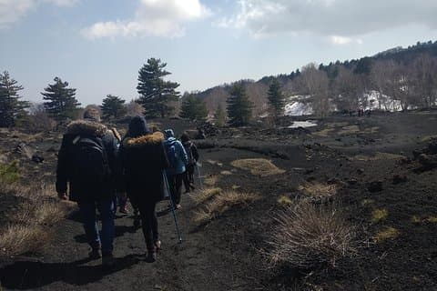 Trekking