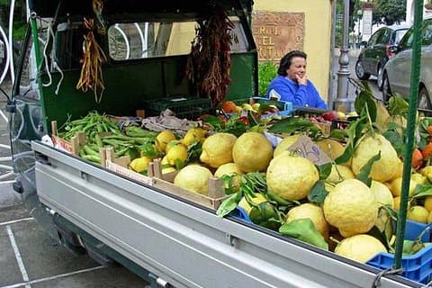 Sorrento lemons