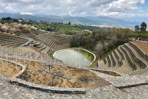 Etna Tour & Wine Experience on a farm
