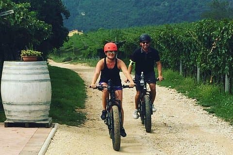 Riding through vineyards