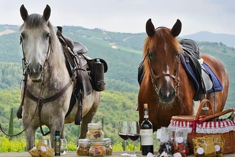 Wine and Horses