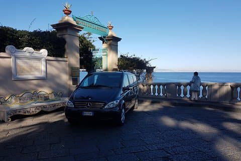 Transfer from Naples to Sorrento with 2 hours Private Tour in Pompeii