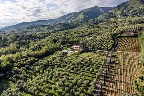 Wine and olive oil tasting & farm tour