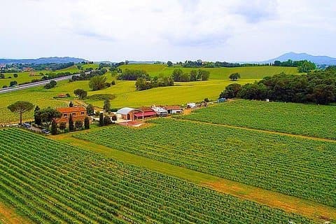 Enjoy a meal with wine tasting in the vineyard of Podere Casanova