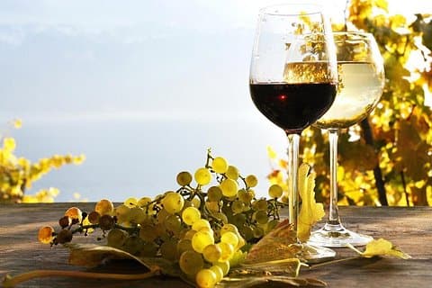 Pompeii & Wine Tour from Sorrento (tickets & lunch not included)
