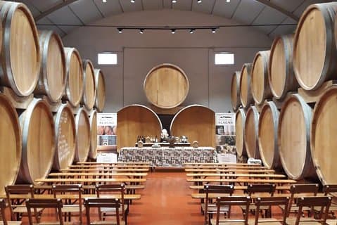 Tasting in the historic cellar of Marsala