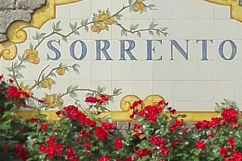 Transfer Naples Sorrento plus Pompeii or vice versa