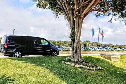 Professional limousines service 2020