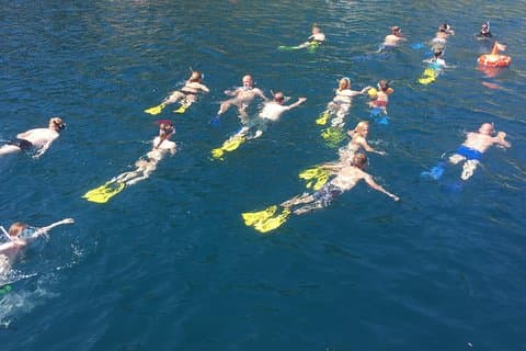 Guided snorkeling Capotaormina