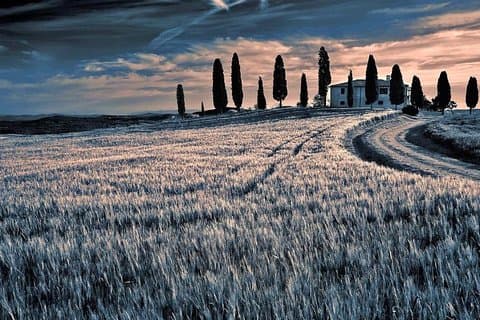 Day trip from Rome: Deluxe wine tasting in Montalcino - private tour
