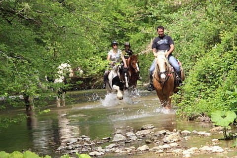 Private Horse Ride Adventure in Modica with Instructor