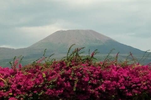 UrbExcursions Pompeii Skip-The-Line and Mt Vesuvius with Lunch&WineTasting from Rome