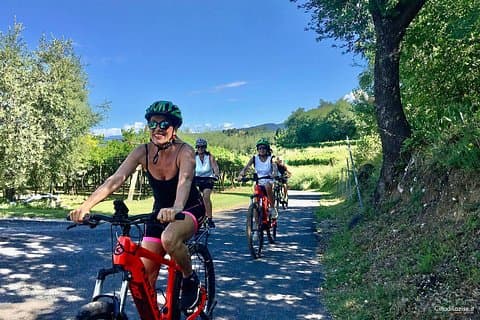 E-Bike Tour and Wine Tasting in Lazise