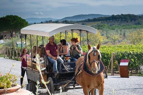 Exclusive Private Suvereto Experience: Land of Elisa Bonaparte
