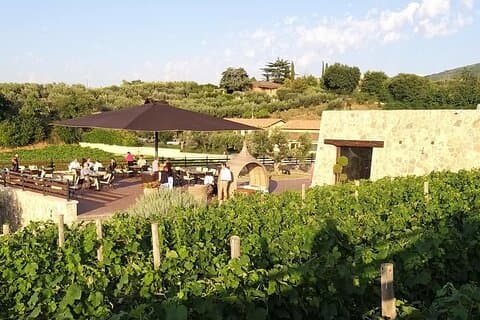 A view of our terrace