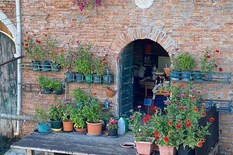 Flowers in Castello