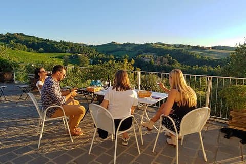 Bologna Hills: Organic DOCG Wine Tasting & Winery Tour