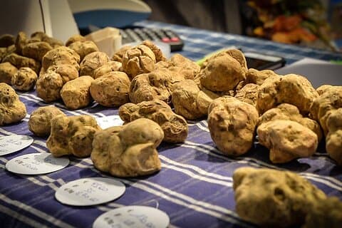 Alba Truffle Fair: Guided Tour and Skip-the-Line Access