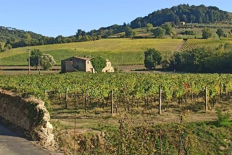 Chianti countryside area (original picture of our visits)