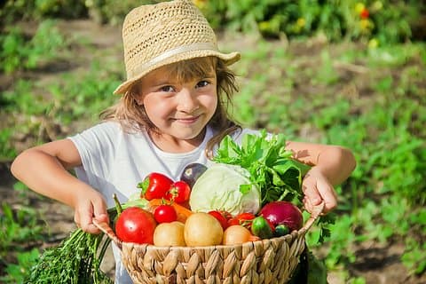 Harvesting the vegetables - Amalfi Coast Cooking Class