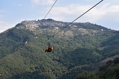 single flight