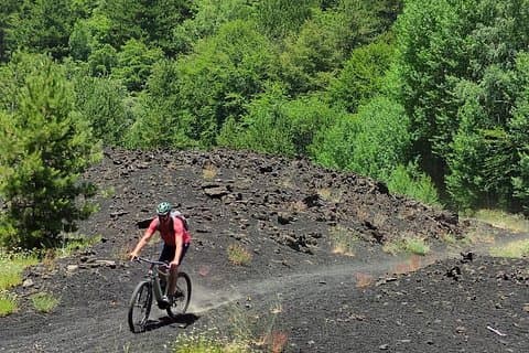 Mount Etna E-bike half-day tour