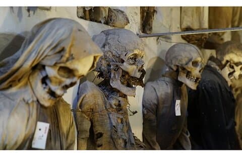 Capuchin Catacombs Palermo