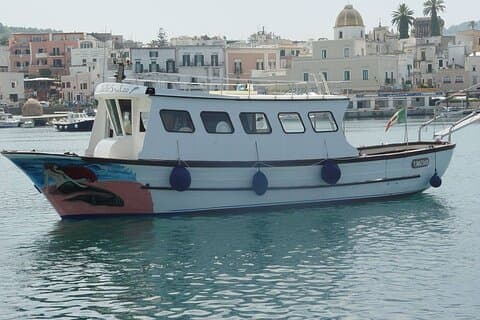 Boat tour of the island of Ischia with lunch and bath