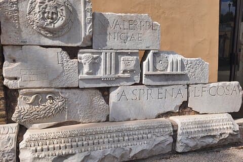 Learn Latin on Field: Guided Lesson and tour in the Heart of Ancient Rome