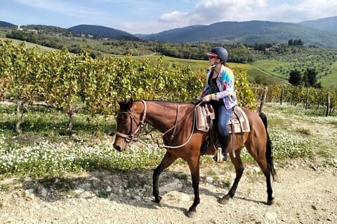 Private Tuscany Horse Ride, Wine Tasting and local food at Estate