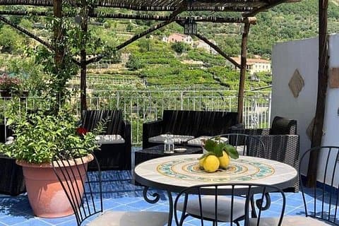 Lemon Experience with limoncello demonstration