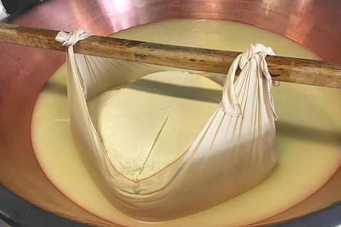 Parmigiano Cheese Factory Visit and Tasting