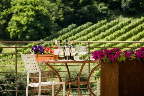 San Gimignano: Chianti wine tasting