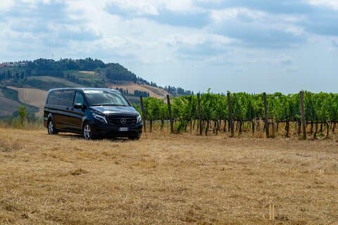 MERCEDES BENZ MINIVAN - BOCELLI VINEYARDS