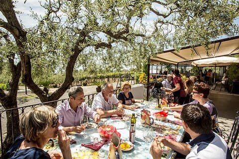 Scenic Wine Tasting & Lunch on the Slopes of Vesuvius from Naples