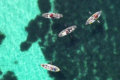 Kayak tour in Golfo Aranci with aperitif and Dolphin watching