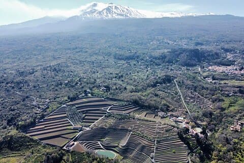 our winery from the sky