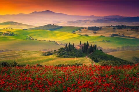 Tuscany from Rome by Private Car with Lunch and Wine Tasting
