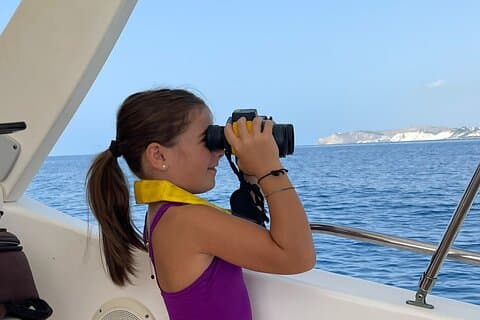 4 Hours Dolphin Watching Tour in Porto Empedocle