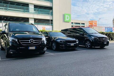 Venice Airport (VCE) to Giudecca + water taxi - Arrival Transfer