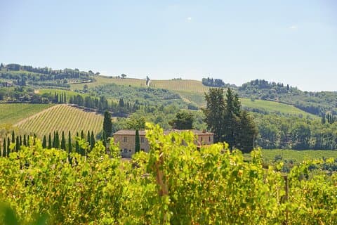 Florence: Private Half-Day Chianti Tour and Wine Tasting Optional